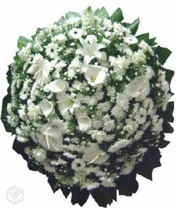 Foto 1 - Coroa de Flores Velrio Cemitrio Ara